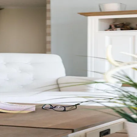 Comfortable And Chic Garden With A Well Maintained Garden